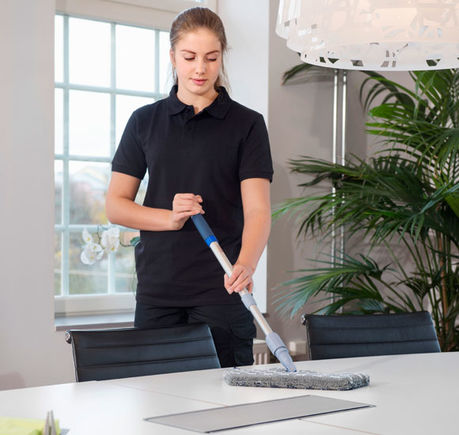 Mop cu pereți dubli Swep Duo MicroPlus 50cm