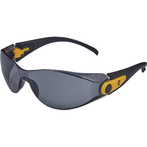 Ochelari de protecție Finney IS