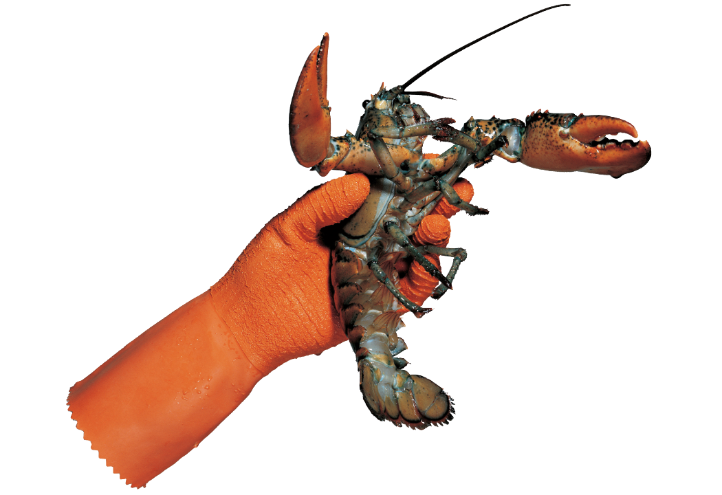 Mănuși protecție chimică Mapa Harpon 325