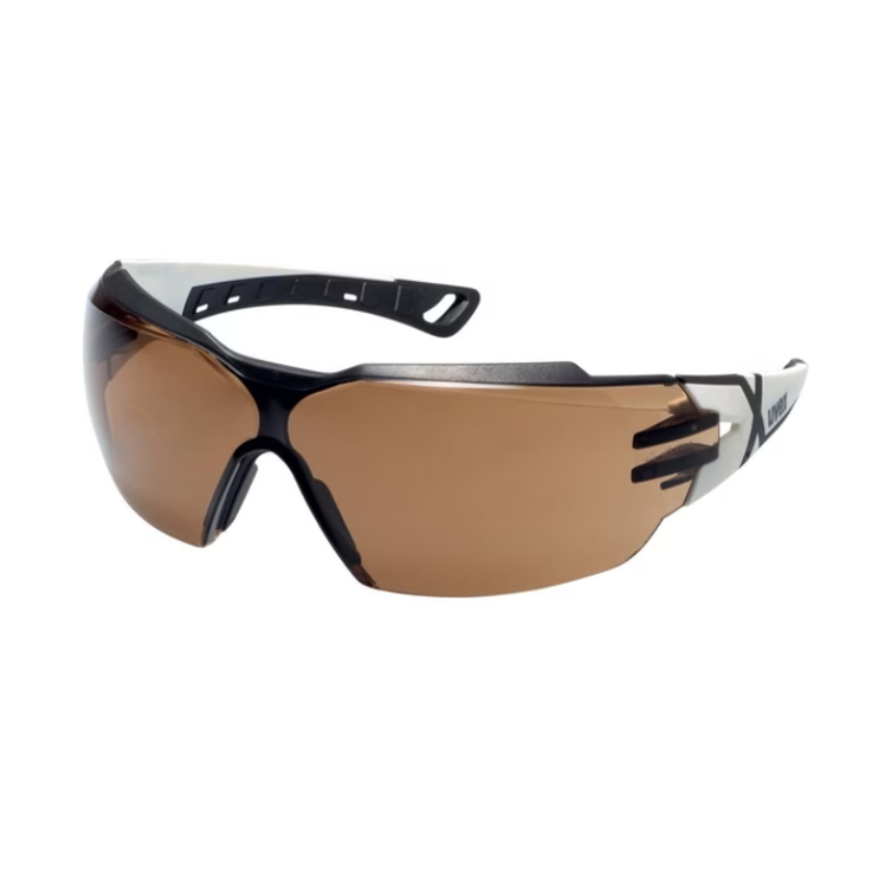 Ochelari de protecție Uvex Pheos CX2